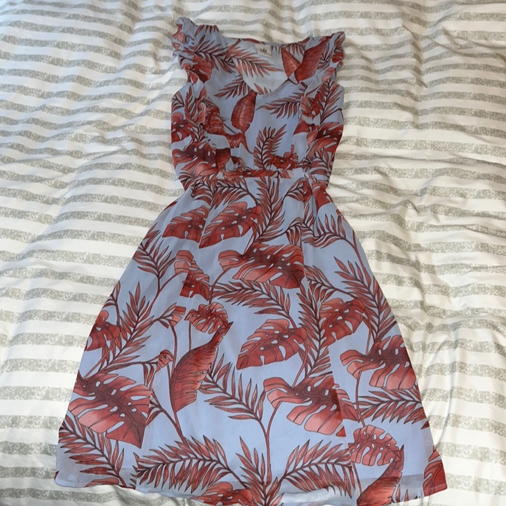 Gorgeous cabi mini dress